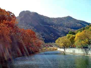 新澳天天彩免费资料大全查询，大田梅园山庄